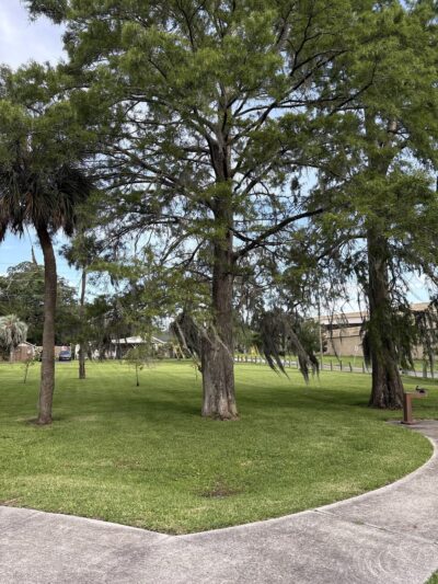 Marjenhoff Park - Jacksonville, FL