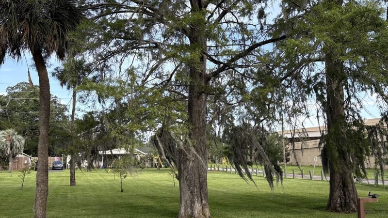 Marjenhoff Park - Jacksonville, FL