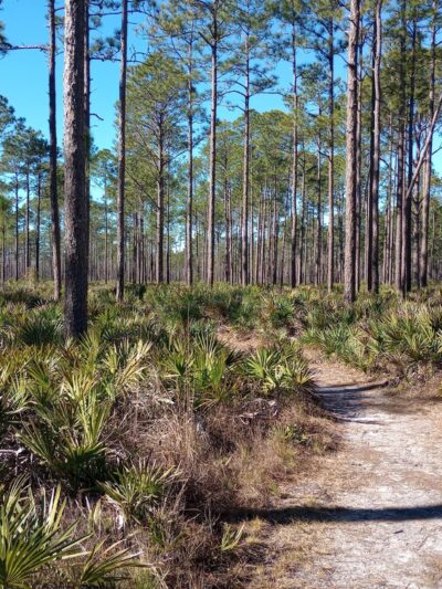 Nolan Road Recreation Area - Jacksonville, FL