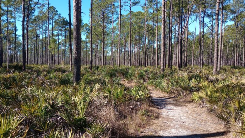 Nolan Road Recreation Area - Jacksonville, FL