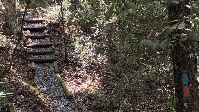 Nolan Road Recreation Area - Jacksonville, FL