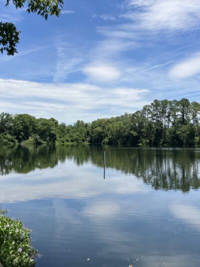 Oceanway Park - Jacksonville, FL