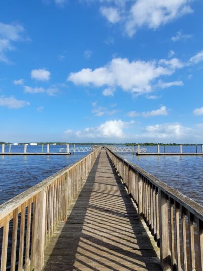 Reddie Point Preserve - Jacksonville, FL