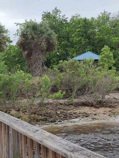 Reddie Point Preserve - Jacksonville, FL