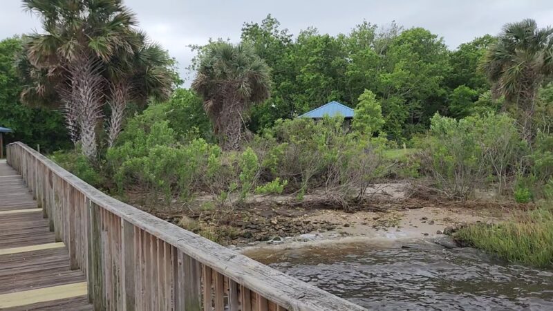 Reddie Point Preserve - Jacksonville, FL