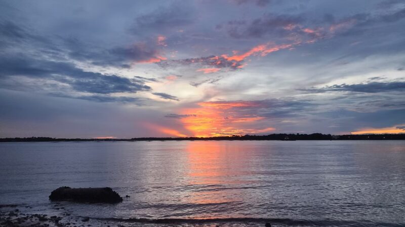 Reddie Point Preserve - Jacksonville, FL