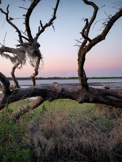 Reddie Point Preserve - Jacksonville, FL