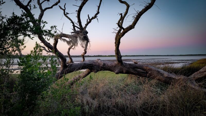 Reddie Point Preserve - Jacksonville, FL
