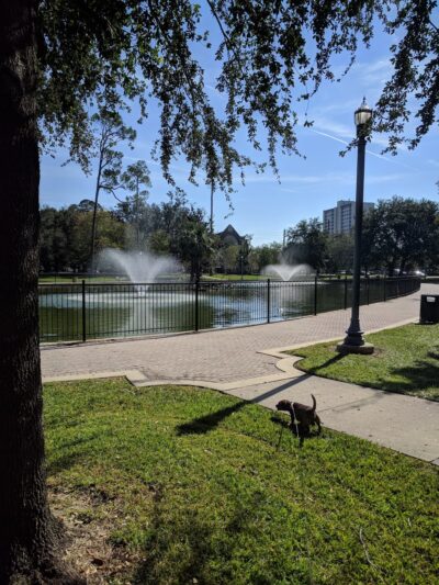 Riverside Park - Jacksonville, FL