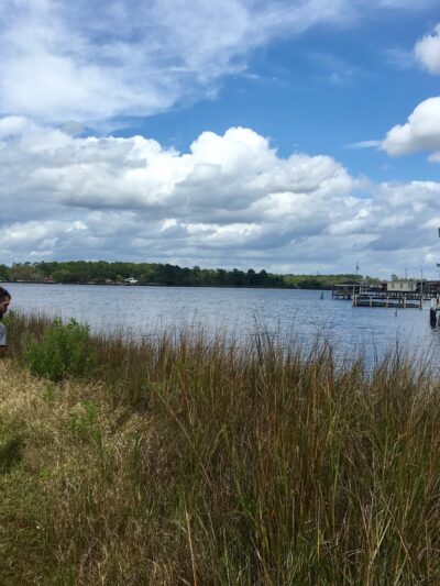 Rolliston Park - Jacksonville, FL