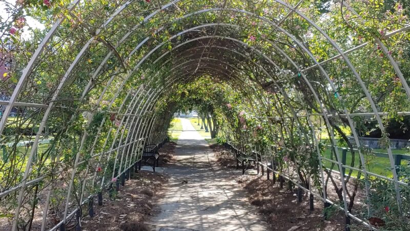 Springfield Park - Jacksonville, FL