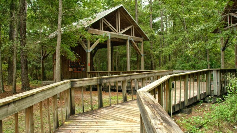 Tillie K. Fowler Regional Park - Jacksonville, FL
