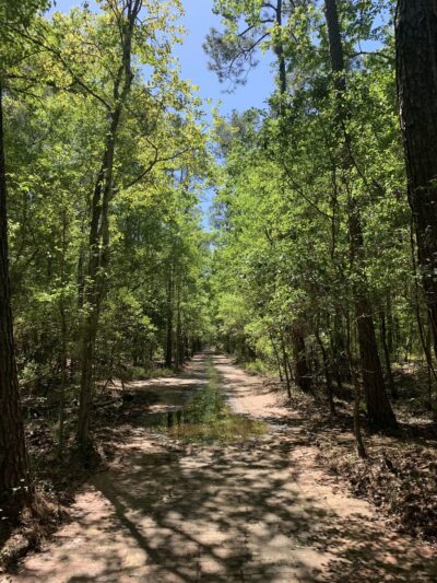 Tillie K. Fowler Regional Park - Jacksonville, FL