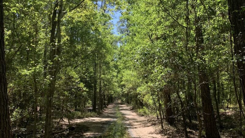 Tillie K. Fowler Regional Park - Jacksonville, FL