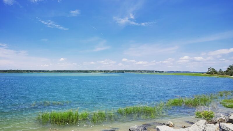 Timucuan Trail Trailhead - Jacksonville, FL