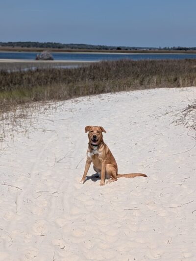Timucuan Trail Trailhead - Jacksonville, FL