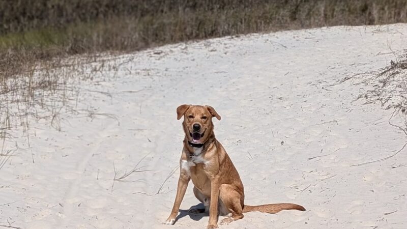 Timucuan Trail Trailhead - Jacksonville, FL
