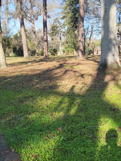 Willowbranch Park - Jacksonville, FL