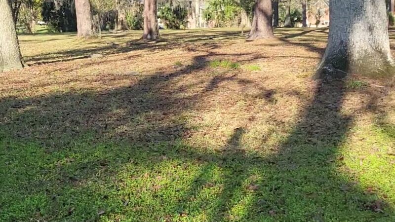 Willowbranch Park - Jacksonville, FL