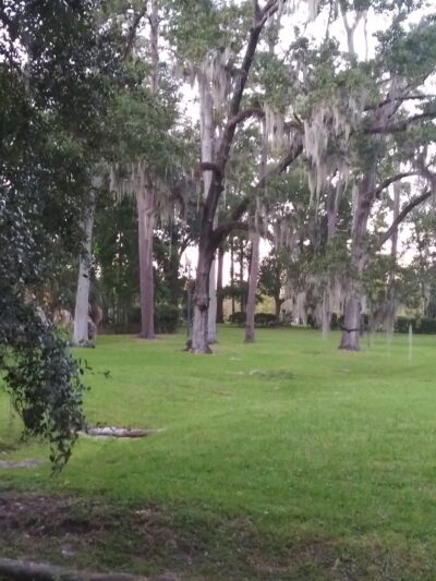 Willowbranch Park - Jacksonville, FL