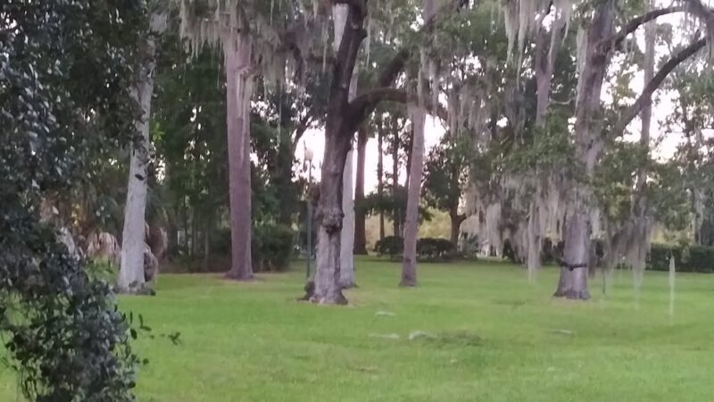 Willowbranch Park - Jacksonville, FL
