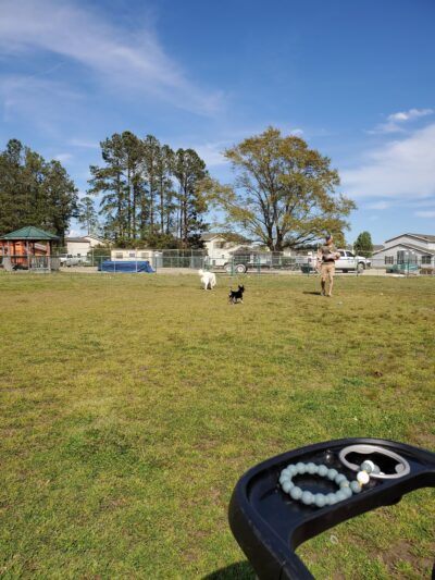 TT Dog Park - Jacksonville, NC