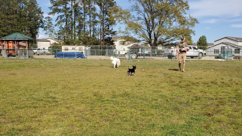 TT Dog Park - Jacksonville, NC