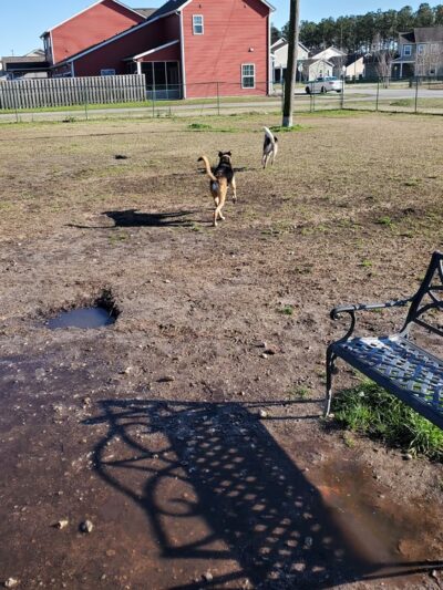 Midway Dog Park #1 - Jacksonville, NC