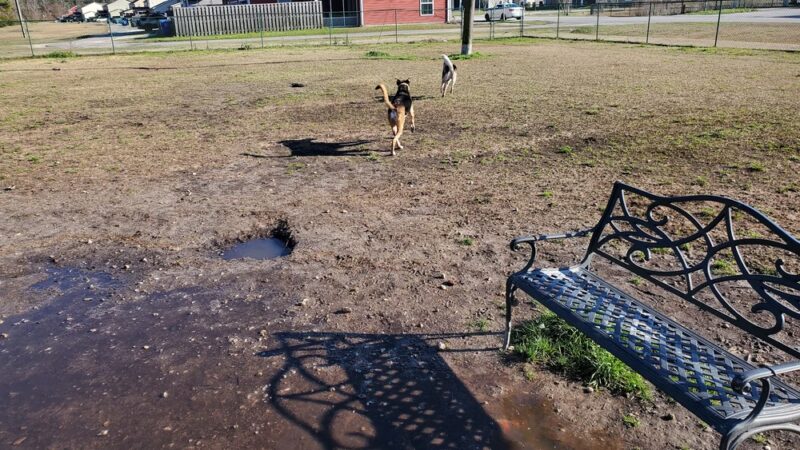 Midway Dog Park #1 - Jacksonville, NC