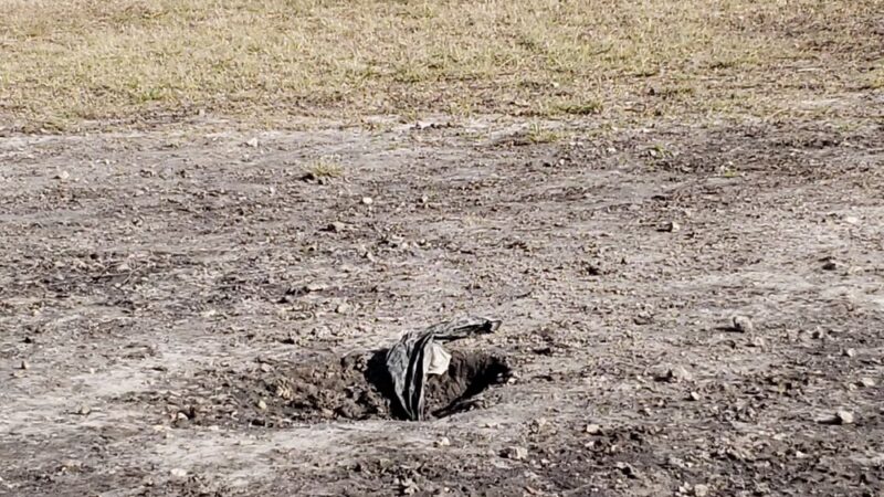 Midway Dog Park #1 - Jacksonville, NC