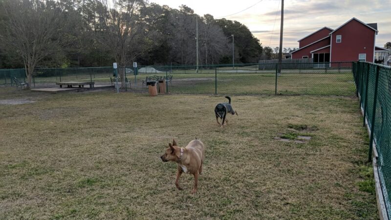Midway Dog Park #1 - Jacksonville, NC