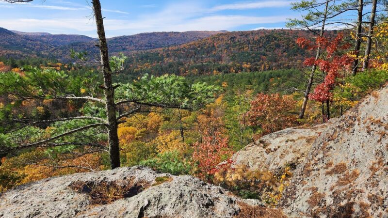 Jamaica State Park - Jamaica, VT