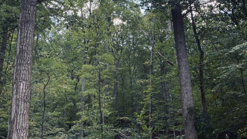 Trough Creek State Park Campground - James Creek, PA