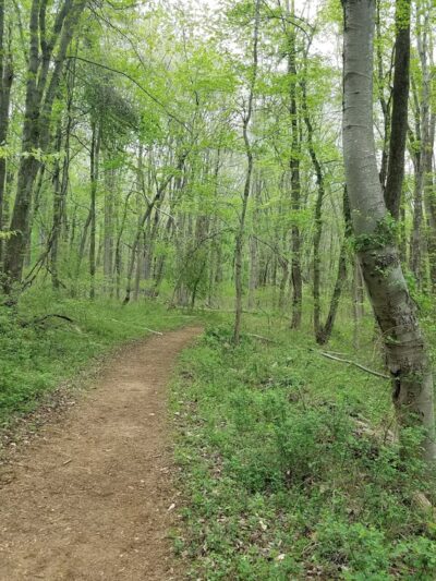 Thompson Park: Main Entrance - Jamesburg, NJ