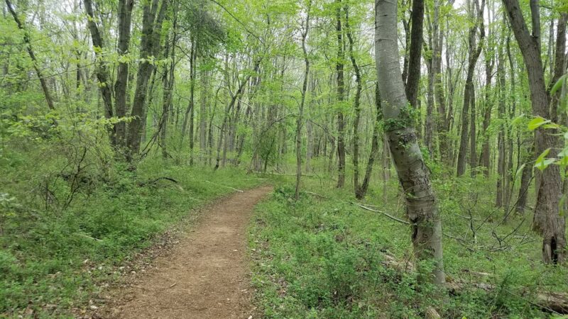 Thompson Park: Main Entrance - Jamesburg, NJ