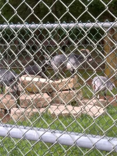 Thompson Park: Main Entrance - Jamesburg, NJ