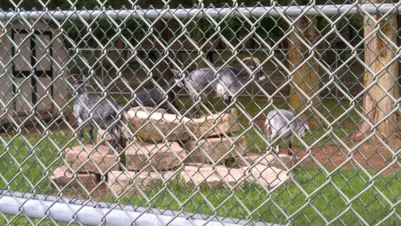 Thompson Park: Main Entrance - Jamesburg, NJ