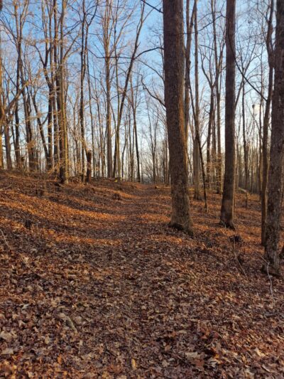 Baugh Branch Trail - Jamestown, KY