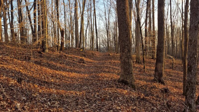 Baugh Branch Trail - Jamestown, KY