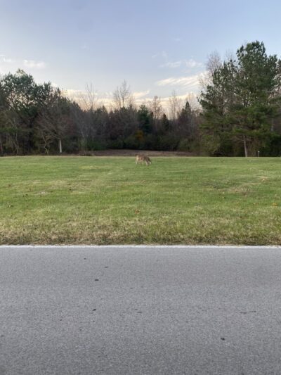 Kendall campgrounds - Jamestown, KY