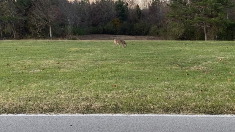 Kendall campgrounds - Jamestown, KY