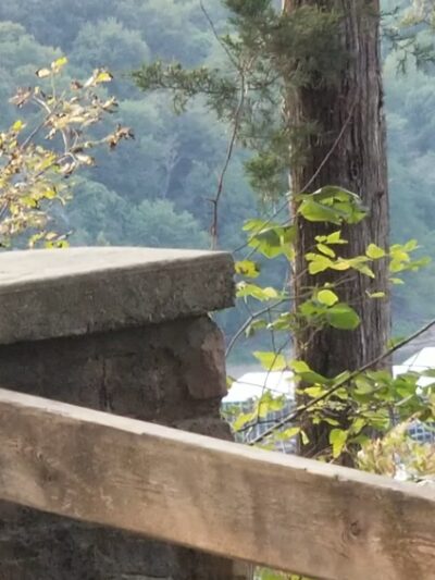 Lake Cumberland State Resort Park - Jamestown, KY