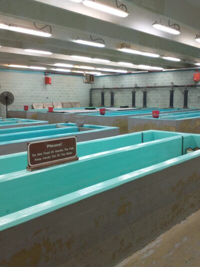 U.S. Army Corps of Engineers Kendall Campground - Jamestown, KY