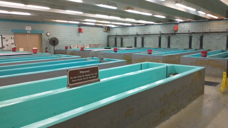 U.S. Army Corps of Engineers Kendall Campground - Jamestown, KY