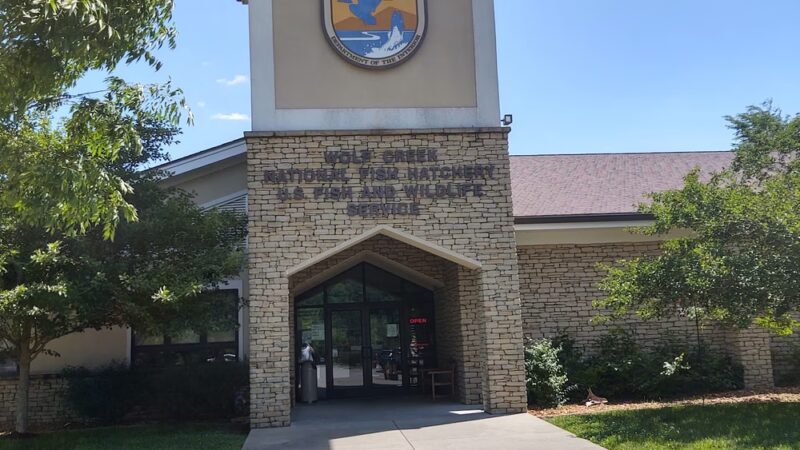 U.S. Army Corps of Engineers Kendall Campground - Jamestown, KY