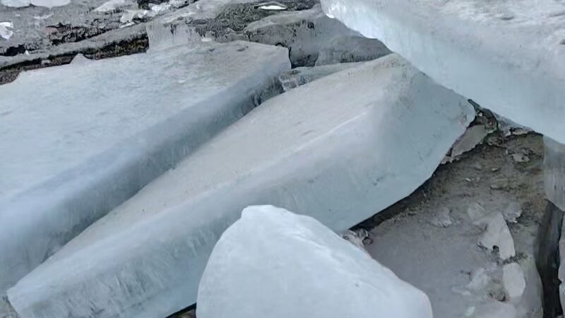 Pymatuning State Park - Jamestown Beach Area #2 - Jamestown, PA