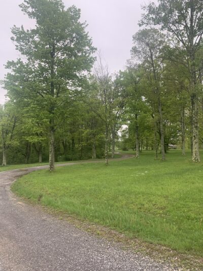 Pymatuning State Park - Jamestown Beach Area #2 - Jamestown, PA