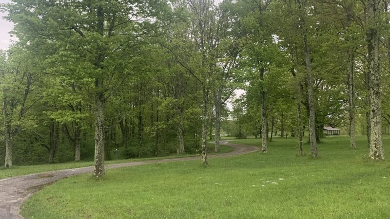 Pymatuning State Park - Jamestown Beach Area #2 - Jamestown, PA