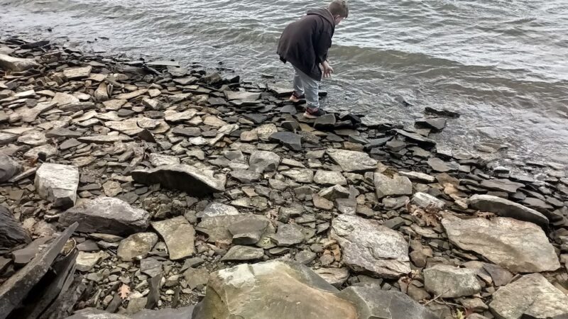 Pymatuning State Park - Jamestown Beach Area #2 - Jamestown, PA