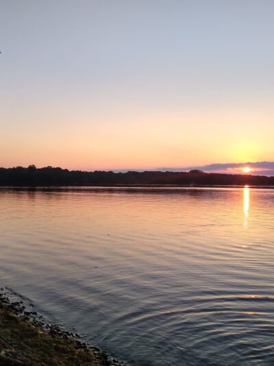Pymatuning State Park - Shelter #2 - Jamestown, PA